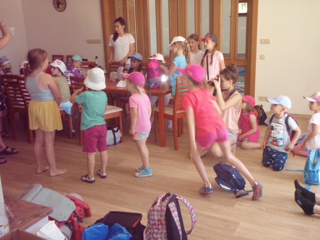 Penzion U Blatce Otel Nové Hrady Dış mekan fotoğraf